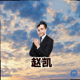赵凯
